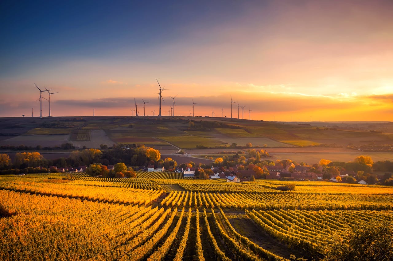 Fields and wind turbines